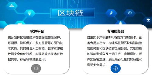 中央一號文件 科技賦能農業，第五代網絡技術與人工智能物聯網引領新時代農業網站建設
