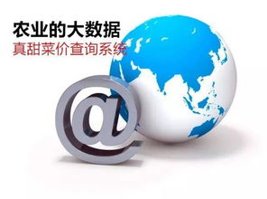 農(nóng)業(yè)信息革命 告別“現(xiàn)代社會(huì)原始人”，擁抱“真甜菜價(jià)查詢系統(tǒng)”的魔力